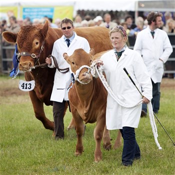 Devon County Show