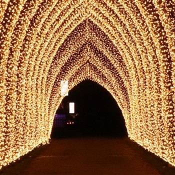 Kew Gardens & Windsor Castle at Christmas