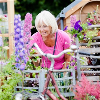 RHS Tatton Park Flower Show & RHS Bridgewater