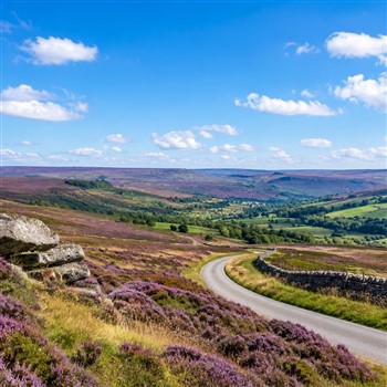 Tales & Trails in Bronte Country