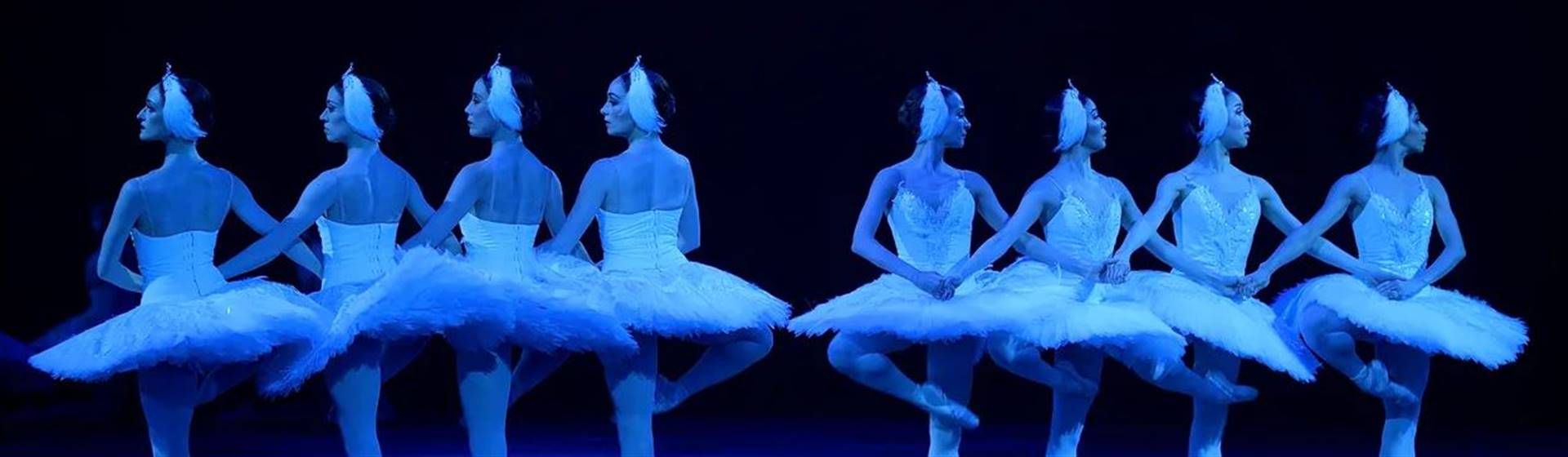 Swan Lake - Royal Albert Hall